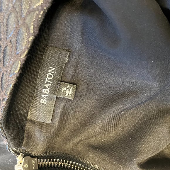 Babaton Dress - Picture 3 of 3